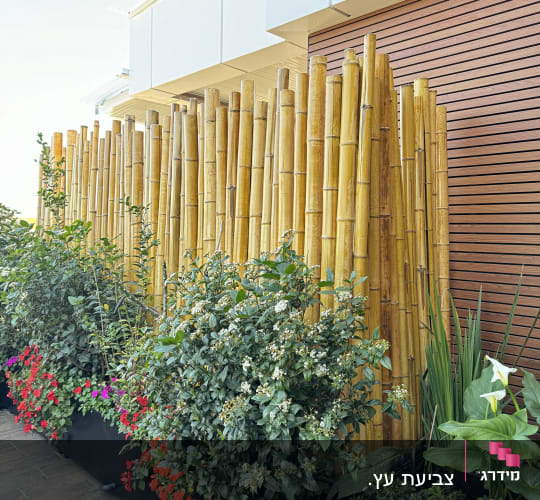 גדר במבוק עם צמחים ופרחים צבעוניים באדניות שחורות